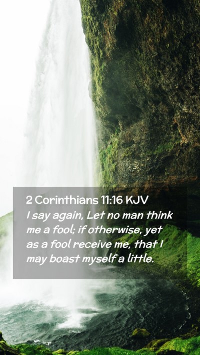 Picture 02 - 2 Corinthians 11:16 KJV Mobile Phone Wallpaper - I say again, Let no man think me a fool; if - Mobile Bible Verse Wallpaper