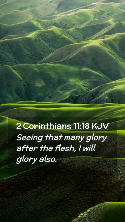 Picture 02 - 2 Corinthians 11:18 KJV Mobile Phone Wallpaper - Seeing that many glory after the flesh, I will - Mobile Bible Verse Wallpaper
