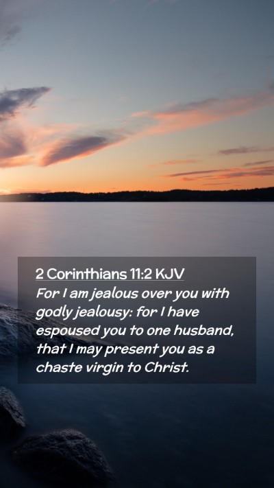 Picture 02 - 2 Corinthians 11:2 KJV Mobile Phone Wallpaper - For I am jealous over you with godly jealousy: - Mobile Bible Verse Wallpaper