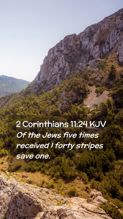 Picture 02 - 2 Corinthians 11:24 KJV Mobile Phone Wallpaper - Of the Jews five times received I forty stripes - Mobile Bible Verse Wallpaper