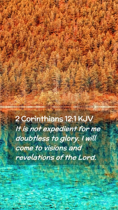 Picture 02 - 2 Corinthians 12:1 KJV Mobile Phone Wallpaper - It is not expedient for me doubtless to glory. I - Mobile Bible Verse Wallpaper