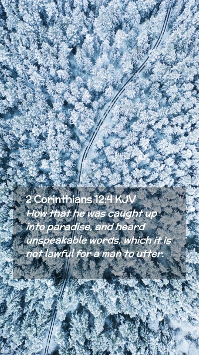 Picture 02 - 2 Corinthians 12:4 KJV Mobile Phone Wallpaper - How that he was caught up into paradise, and - Mobile Bible Verse Wallpaper