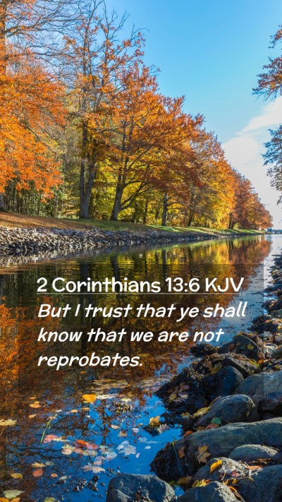 Picture 02 - 2 Corinthians 13:6 KJV Mobile Phone Wallpaper - But I trust that ye shall know that we are not - Mobile Bible Verse Wallpaper