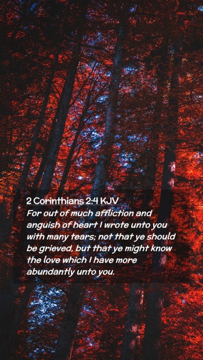 Picture 02 - 2 Corinthians 2:4 KJV Mobile Phone Wallpaper - For out of much affliction and anguish of heart I - Mobile Bible Verse Wallpaper