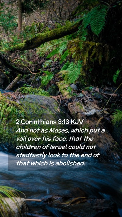 Picture 02 - 2 Corinthians 3:13 KJV Mobile Phone Wallpaper - And not as Moses, which put a vail over his face, - Mobile Bible Verse Wallpaper