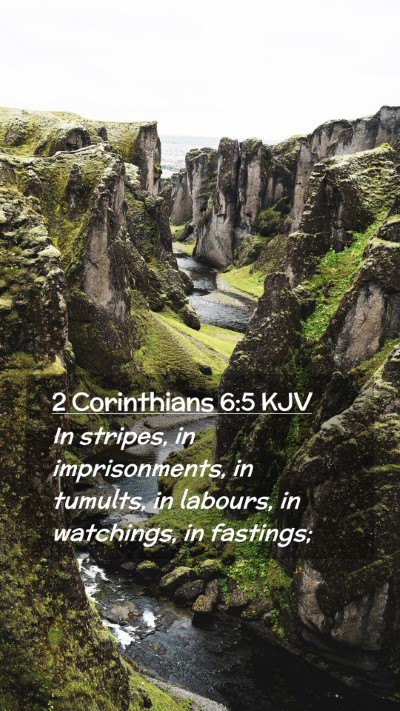 Picture 02 - 2 Corinthians 6:5 KJV Mobile Phone Wallpaper - In stripes, in imprisonments, in tumults, in - Mobile Bible Verse Wallpaper