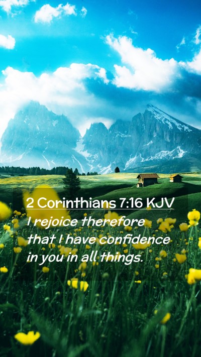 Picture 02 - 2 Corinthians 7:16 KJV Mobile Phone Wallpaper - I rejoice therefore that I have confidence in you - Mobile Bible Verse Wallpaper
