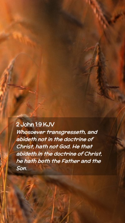 Picture 02 - 2 John 1:9 KJV Mobile Phone Wallpaper - Whosoever transgresseth, and abideth not in the - Mobile Bible Verse Wallpaper