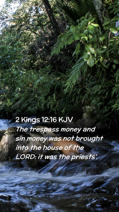 Picture 02 - 2 Kings 12:16 KJV Mobile Phone Wallpaper - The trespass money and sin money was not brought - Mobile Bible Verse Wallpaper