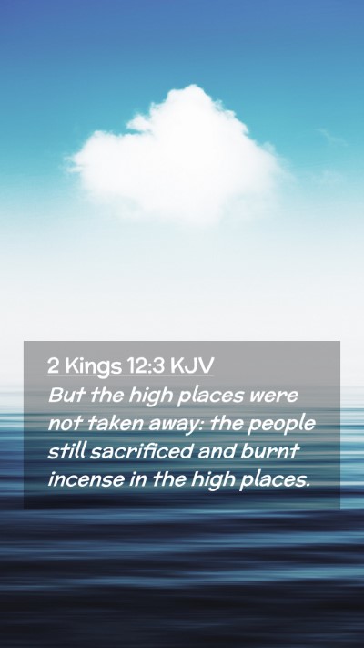 Picture 02 - 2 Kings 12:3 KJV Mobile Phone Wallpaper - But the high places were not taken away: the - Mobile Bible Verse Wallpaper