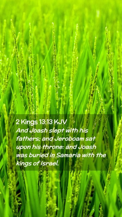 Picture 02 - 2 Kings 13:13 KJV Mobile Phone Wallpaper - And Joash slept with his fathers; and Jeroboam - Mobile Bible Verse Wallpaper