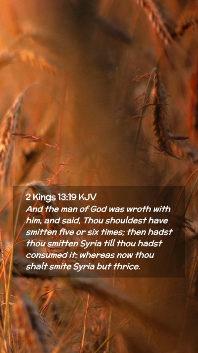 Picture 02 - 2 Kings 13:19 KJV Mobile Phone Wallpaper - And the man of God was wroth with him, and said, - Mobile Bible Verse Wallpaper