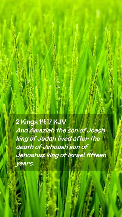 Picture 02 - 2 Kings 14:17 KJV Mobile Phone Wallpaper - And Amaziah the son of Joash king of Judah lived - Mobile Bible Verse Wallpaper
