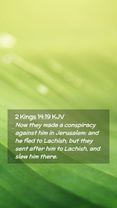 Picture 02 - 2 Kings 14:19 KJV Mobile Phone Wallpaper - Now they made a conspiracy against him in - Mobile Bible Verse Wallpaper