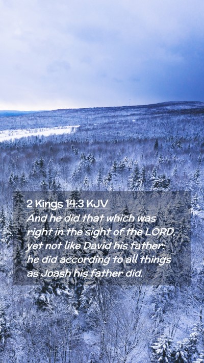 Picture 02 - 2 Kings 14:3 KJV Mobile Phone Wallpaper - And he did that which was right in the sight of - Mobile Bible Verse Wallpaper