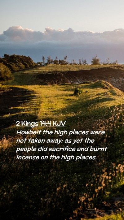 Picture 02 - 2 Kings 14:4 KJV Mobile Phone Wallpaper - Howbeit the high places were not taken away: as - Mobile Bible Verse Wallpaper
