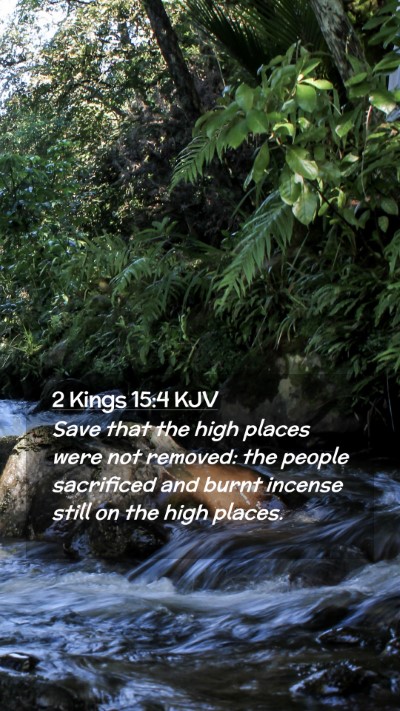 Picture 02 - 2 Kings 15:4 KJV Mobile Phone Wallpaper - Save that the high places were not removed: the - Mobile Bible Verse Wallpaper