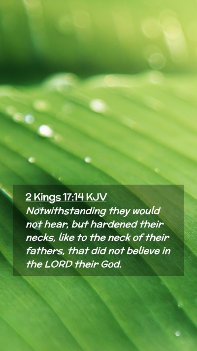 Picture 02 - 2 Kings 17:14 KJV Mobile Phone Wallpaper - Notwithstanding they would not hear, but hardened - Mobile Bible Verse Wallpaper