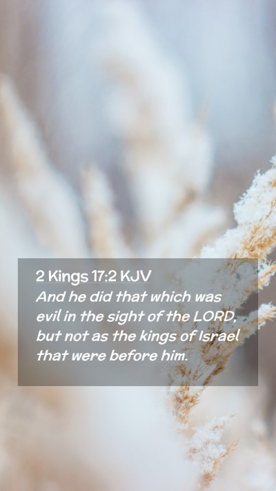 Picture 02 - 2 Kings 17:2 KJV Mobile Phone Wallpaper - And he did that which was evil in the sight of - Mobile Bible Verse Wallpaper