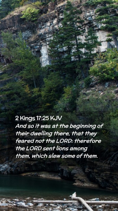 Picture 02 - 2 Kings 17:25 KJV Mobile Phone Wallpaper - And so it was at the beginning of their dwelling - Mobile Bible Verse Wallpaper