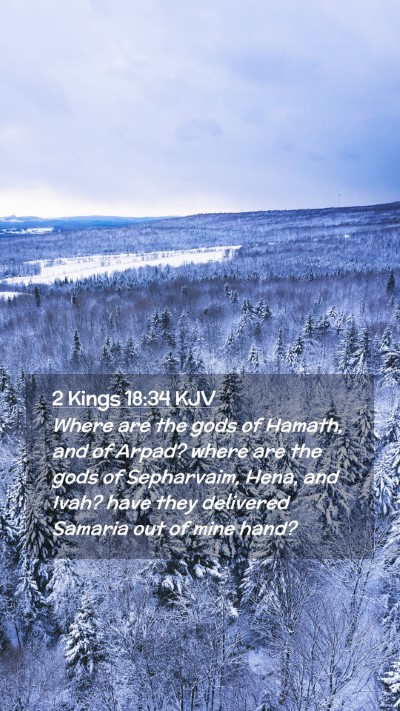 Picture 02 - 2 Kings 18:34 KJV Mobile Phone Wallpaper - Where are the gods of Hamath, and of Arpad? where - Mobile Bible Verse Wallpaper