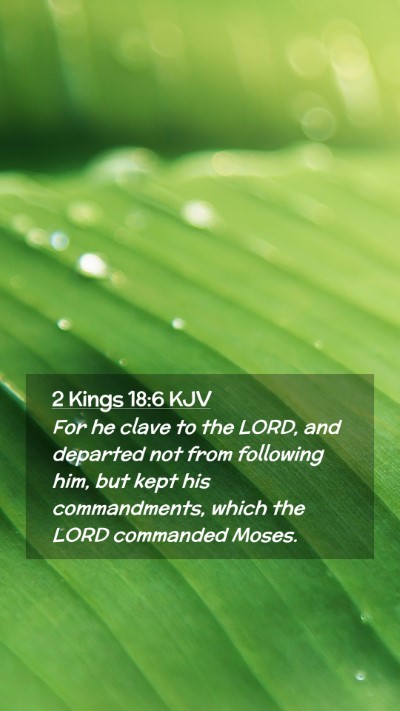 Picture 02 - 2 Kings 18:6 KJV Mobile Phone Wallpaper - For he clave to the LORD, and departed not from - Mobile Bible Verse Wallpaper