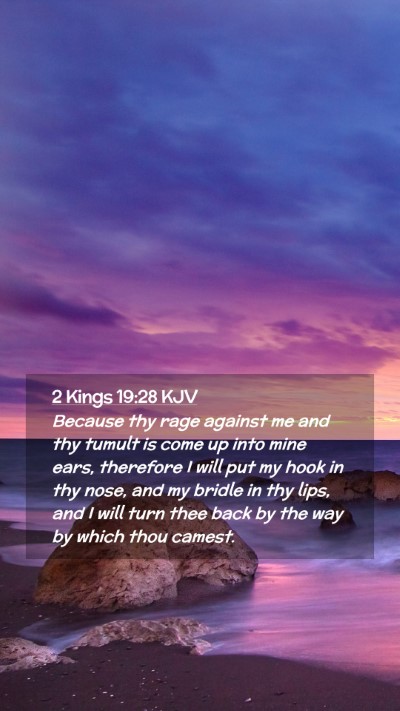 Picture 02 - 2 Kings 19:28 KJV Mobile Phone Wallpaper - Because thy rage against me and thy tumult is - Mobile Bible Verse Wallpaper