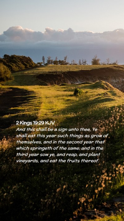 Picture 02 - 2 Kings 19:29 KJV Mobile Phone Wallpaper - And this shall be a sign unto thee, Ye shall eat - Mobile Bible Verse Wallpaper