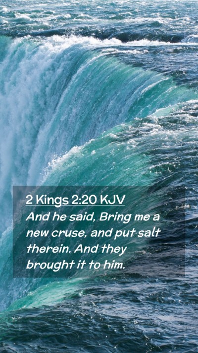Picture 02 - 2 Kings 2:20 KJV Mobile Phone Wallpaper - And he said, Bring me a new cruse, and put salt - Mobile Bible Verse Wallpaper