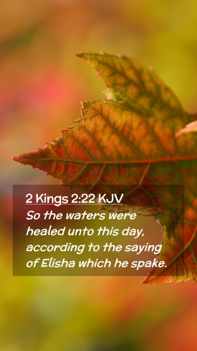 Picture 02 - 2 Kings 2:22 KJV Mobile Phone Wallpaper - So the waters were healed unto this day, - Mobile Bible Verse Wallpaper