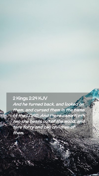 Picture 02 - 2 Kings 2:24 KJV Mobile Phone Wallpaper - And he turned back, and looked on them, and - Mobile Bible Verse Wallpaper