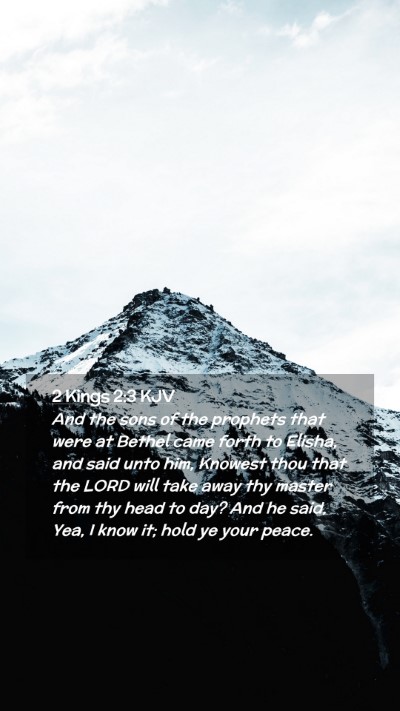 Picture 02 - 2 Kings 2:3 KJV Mobile Phone Wallpaper - And the sons of the prophets that were at Bethel - Mobile Bible Verse Wallpaper