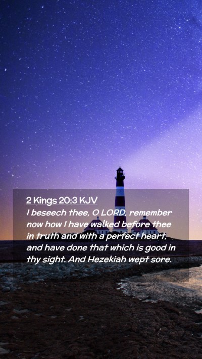 Picture 02 - 2 Kings 20:3 KJV Mobile Phone Wallpaper - I beseech thee, O LORD, remember now how I have - Mobile Bible Verse Wallpaper