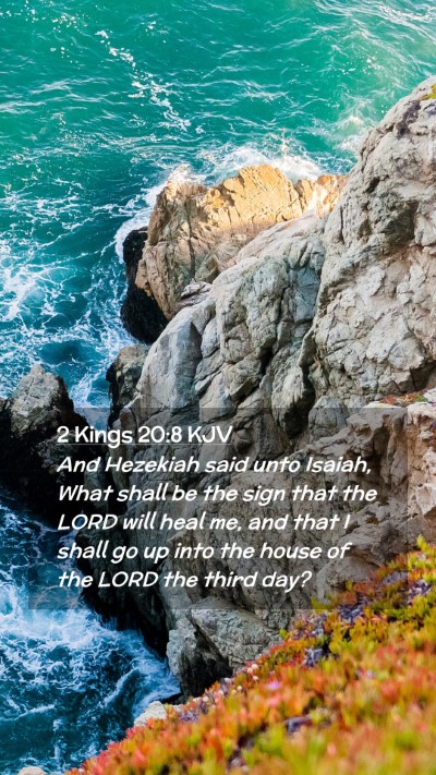 Picture 02 - 2 Kings 20:8 KJV Mobile Phone Wallpaper - And Hezekiah said unto Isaiah, What shall be the - Mobile Bible Verse Wallpaper