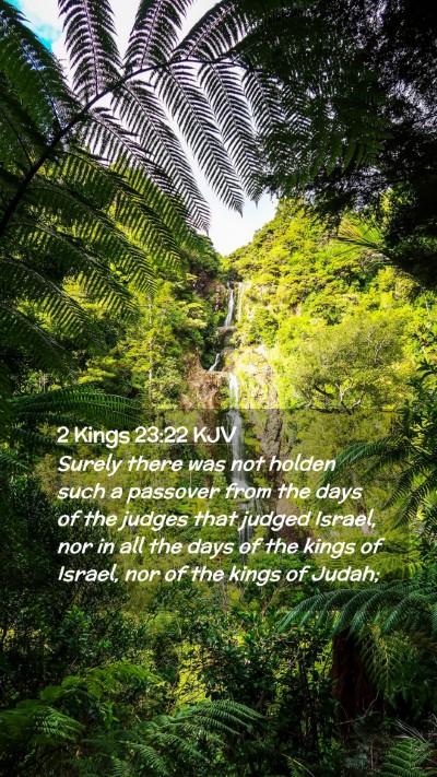 Picture 02 - 2 Kings 23:22 KJV Mobile Phone Wallpaper - Surely there was not holden such a passover from - Mobile Bible Verse Wallpaper