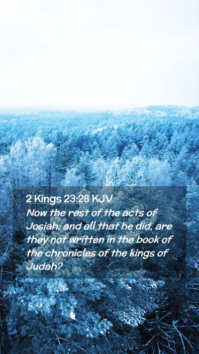 Picture 02 - 2 Kings 23:28 KJV Mobile Phone Wallpaper - Now the rest of the acts of Josiah, and all that - Mobile Bible Verse Wallpaper