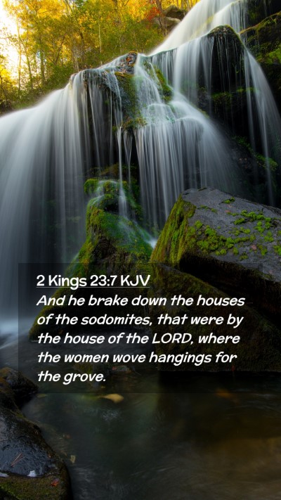 Picture 02 - 2 Kings 23:7 KJV Mobile Phone Wallpaper - And he brake down the houses of the sodomites, - Mobile Bible Verse Wallpaper
