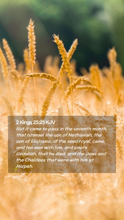 Picture 02 - 2 Kings 25:25 KJV Mobile Phone Wallpaper - But it came to pass in the seventh month, that - Mobile Bible Verse Wallpaper