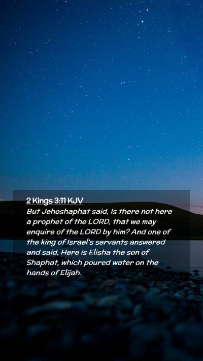 Picture 02 - 2 Kings 3:11 KJV Mobile Phone Wallpaper - But Jehoshaphat said, Is there not here a prophet - Mobile Bible Verse Wallpaper