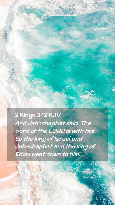 Picture 02 - 2 Kings 3:12 KJV Mobile Phone Wallpaper - And Jehoshaphat said, The word of the LORD is - Mobile Bible Verse Wallpaper