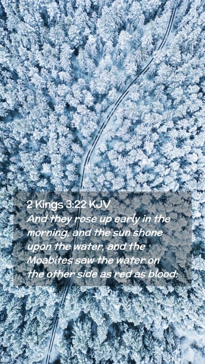 Picture 02 - 2 Kings 3:22 KJV Mobile Phone Wallpaper - And they rose up early in the morning, and the - Mobile Bible Verse Wallpaper
