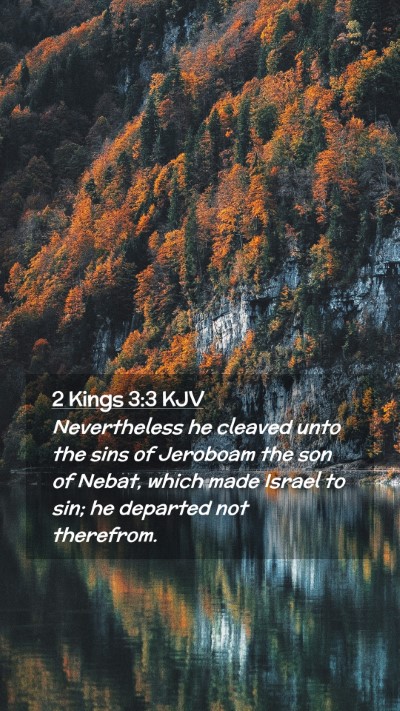 Picture 02 - 2 Kings 3:3 KJV Mobile Phone Wallpaper - Nevertheless he cleaved unto the sins of Jeroboam - Mobile Bible Verse Wallpaper