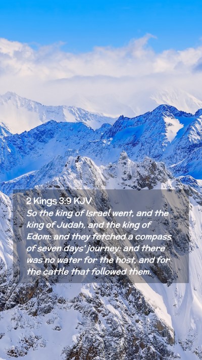 Picture 02 - 2 Kings 3:9 KJV Mobile Phone Wallpaper - So the king of Israel went, and the king of - Mobile Bible Verse Wallpaper