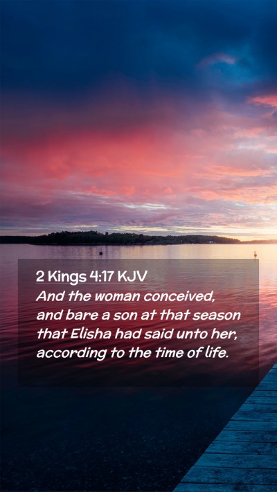 Picture 02 - 2 Kings 4:17 KJV Mobile Phone Wallpaper - And the woman conceived, and bare a son at that - Mobile Bible Verse Wallpaper