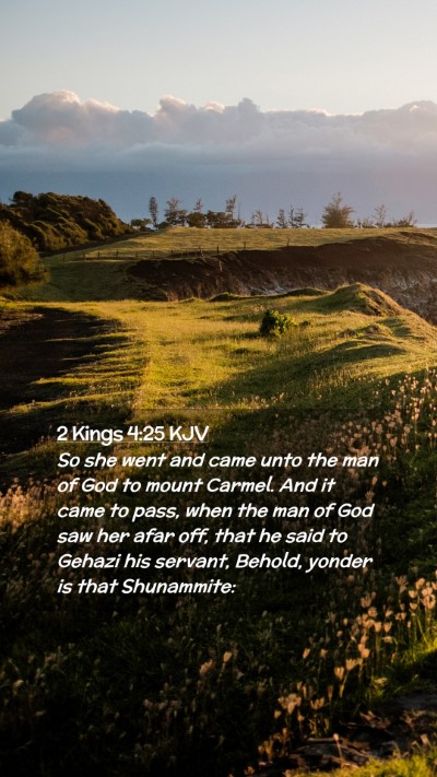 Picture 02 - 2 Kings 4:25 KJV Mobile Phone Wallpaper - So she went and came unto the man of God to mount - Mobile Bible Verse Wallpaper