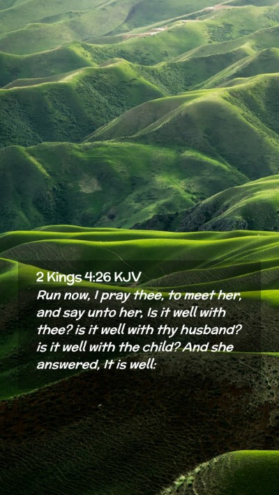 Picture 02 - 2 Kings 4:26 KJV Mobile Phone Wallpaper - Run now, I pray thee, to meet her, and say unto - Mobile Bible Verse Wallpaper