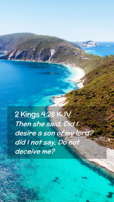 Picture 02 - 2 Kings 4:28 KJV Mobile Phone Wallpaper - Then she said, Did I desire a son of my lord? did - Mobile Bible Verse Wallpaper