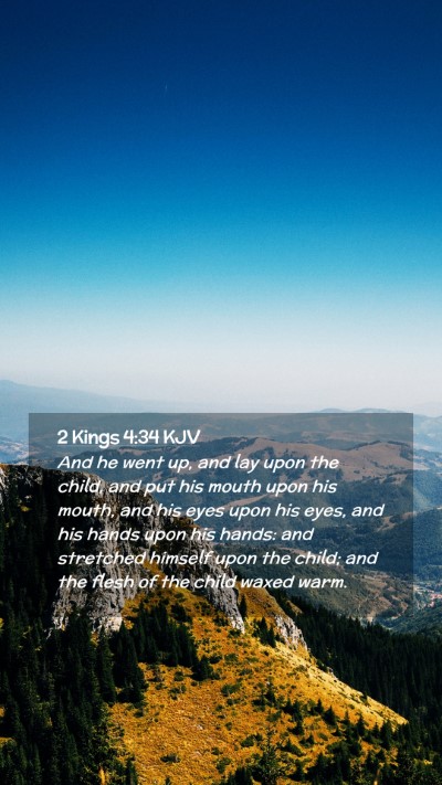 Picture 02 - 2 Kings 4:34 KJV Mobile Phone Wallpaper - And he went up, and lay upon the child, and put - Mobile Bible Verse Wallpaper