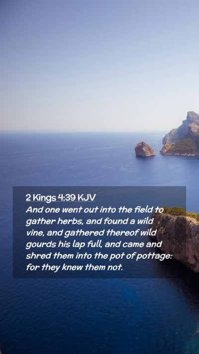 Picture 02 - 2 Kings 4:39 KJV Mobile Phone Wallpaper - And one went out into the field to gather herbs, - Mobile Bible Verse Wallpaper