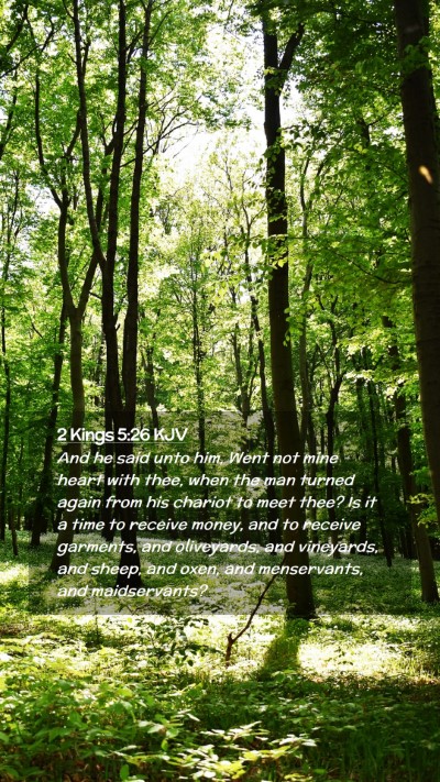 Picture 02 - 2 Kings 5:26 KJV Mobile Phone Wallpaper - And he said unto him, Went not mine heart with - Mobile Bible Verse Wallpaper